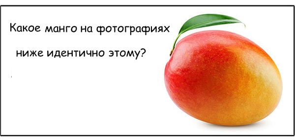 10. И в завершении - сочное манго: