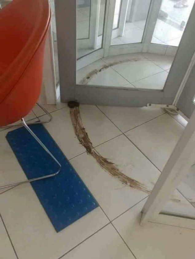 8. Ewwwwww 😕