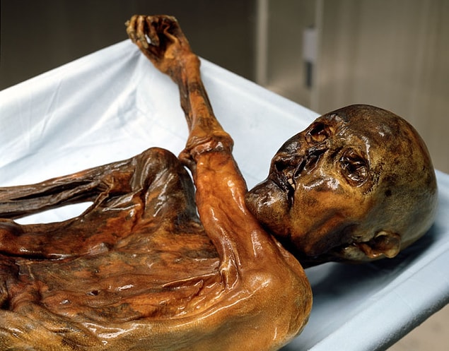16. Otzi The Iceman (3300 BC -3255 BC) : ITALY