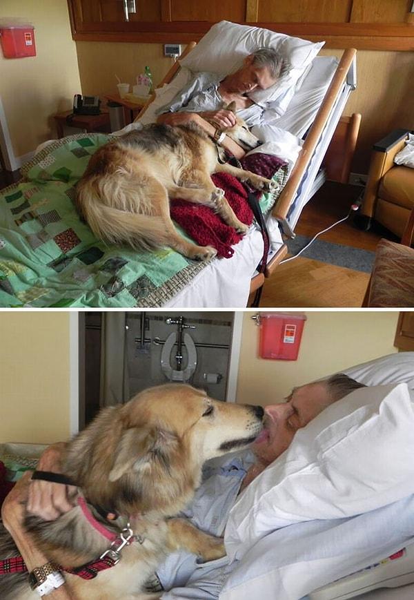 15. Ölmek üzere olan adam son olarak çok sevdiği köpeğini son bir kez görmek istedi.