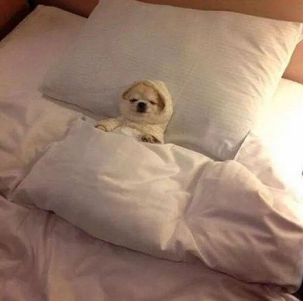 5. Знакомая ситуация?