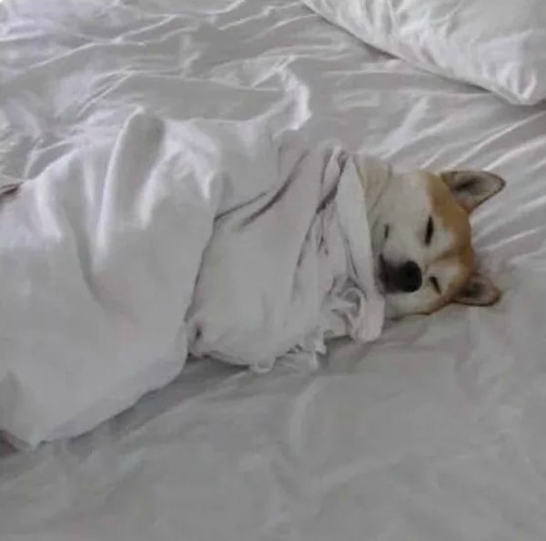 14. "Что? Планы отменяются? А вы уже собрались (нет)..." 😂