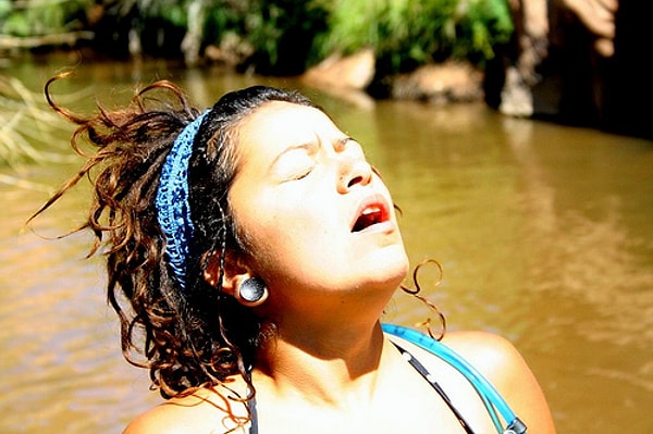 İkinci teori ise Aristoteles ve Bacon'ın düşünmüş olduklarıyla benzerlik gösteriyordu.