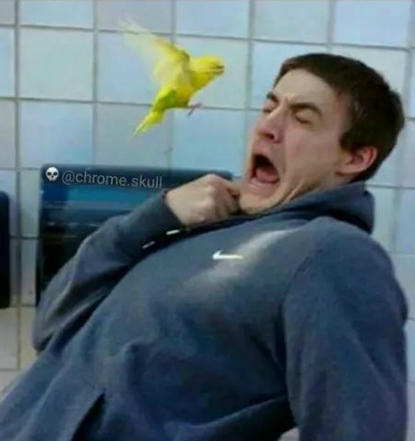 14. Когда кто-то появляется без предупреждения...