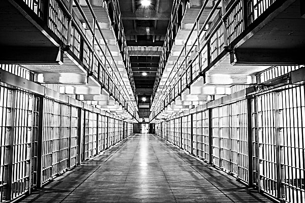 В результате оказалось, что Дональд добровольно отсидел уже 4 срока за Рональда просто потому, что любил своего брата и верил, что тот не был готов к тюремной жизни.