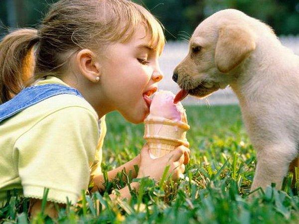 3. Köpeklerle yaşayan çocuklarda alerji ve astım görülme oranı daha düşüktür