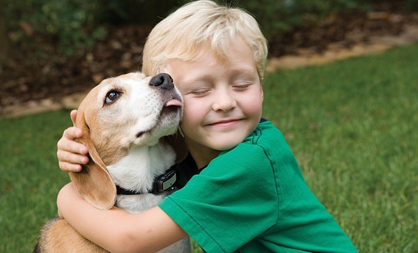 4. Köpek sahiplerinin kalpleri daha sağlıklıdır.