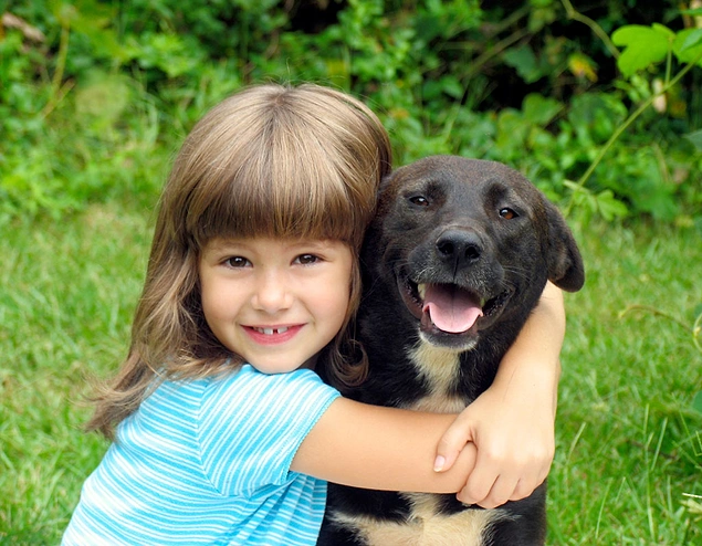 Köpekler otizmli çocukların stresini azaltmaya yardımcı olur.