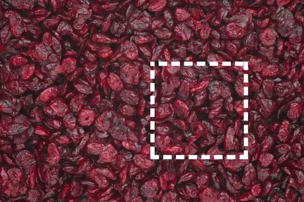 Показать правильный ответ