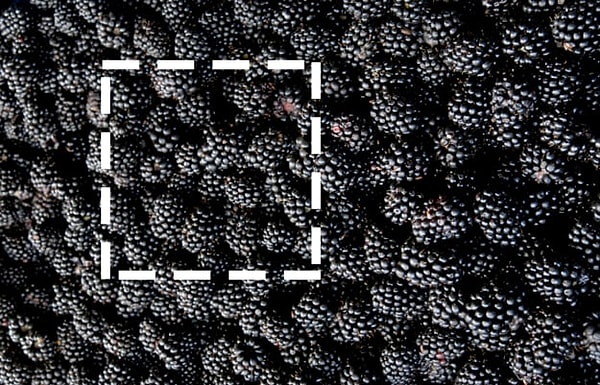 Показать правильный ответ