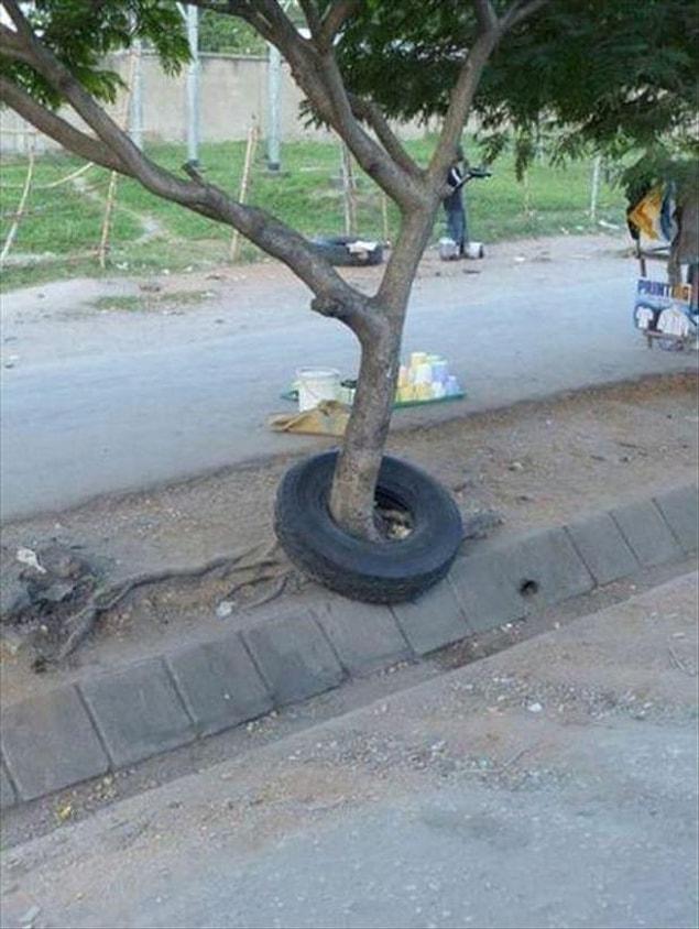 The tire has been there from all eternity?