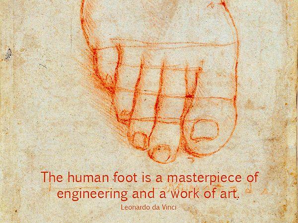 And lastly, here's what Leonardo Da Vinci said about human feet...