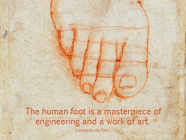 And lastly, here's what Leonardo Da Vinci said about human feet...