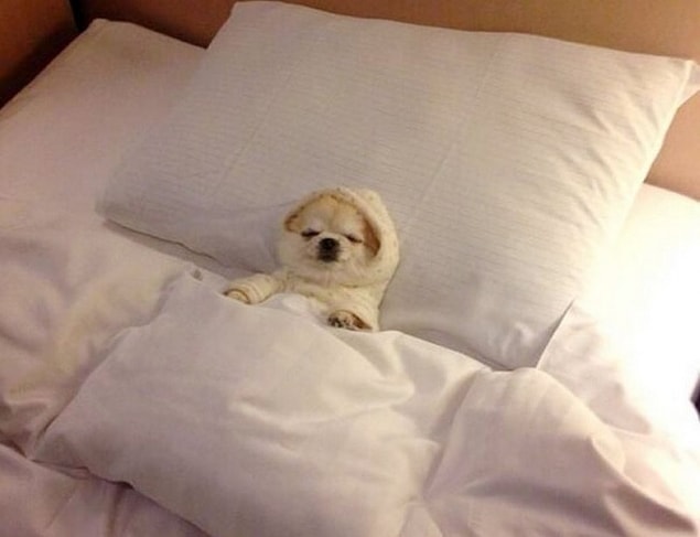 You can go to bed as late as you want...even at 9:45 PM.