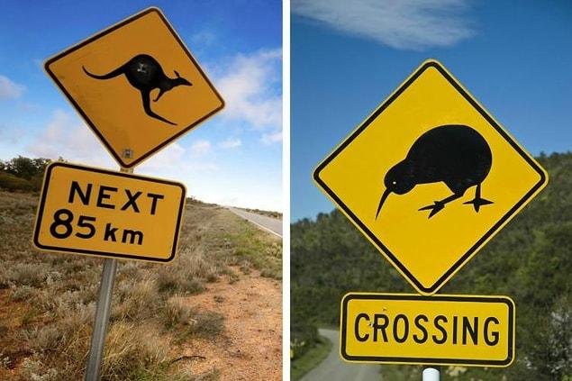 7. New Zealand: Don't mix up "Aussies" and "Kiwis".