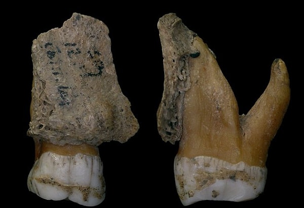 4. Также были найдены и следы антибиотика — пенициллина. Ученые уверены, что древние люди употребляли эти вещества по назначению — аспирин, как обезболивающее, пенициллин — как антибактериальное средство.
