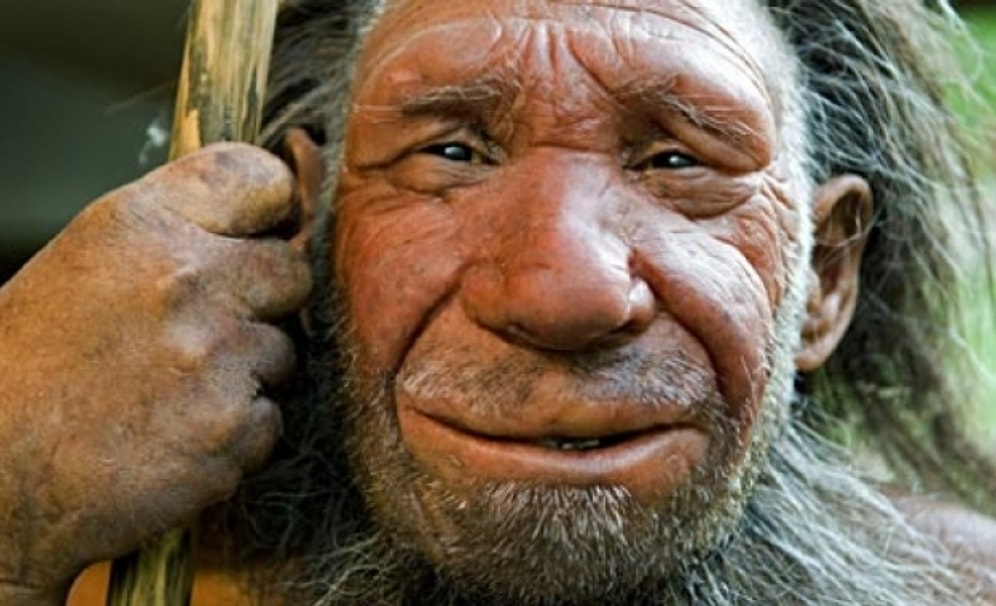 Вот какие удивительные выводы сделали ученые, исследовав останки челюсти древнего человека