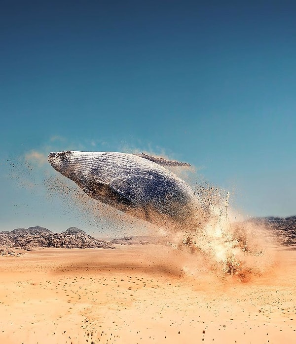 7. Ну, или ночные кошмары...