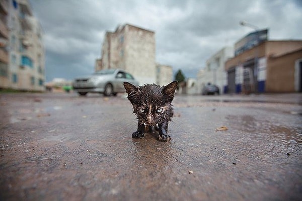 11. Люди, будьте добрее.