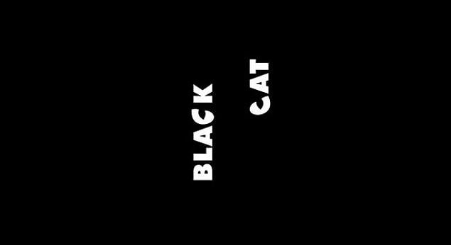 18. Black Cat