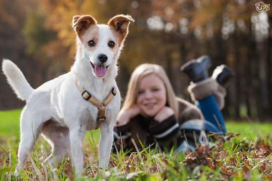 Çocukların Bir Köpekle Büyümesinin Gelişimlerine Sağladığı 11 Katkı