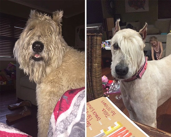 7. Вот так после смены имиджа можно неожиданно стать эмо или готом: