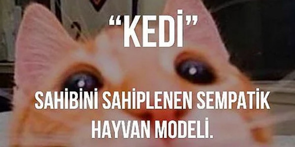 Kelime Tanımlarına Farklı Bir Açıdan Bakan Sözlük Bilügat'tan 15 Eğlenceli Paylaşım