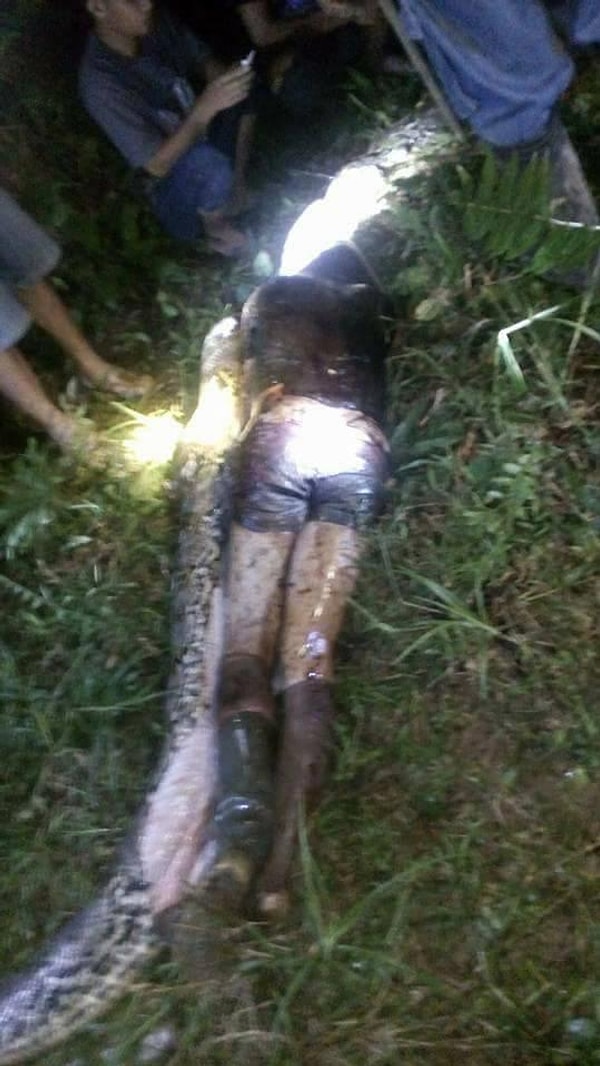 5. СМИ сообщают, что жена Акбара была в отъезде и о трагедии узнала из новостей.