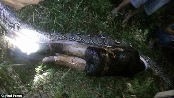 7 metrelik dev piton yılanının içinden bir vatandaşın çıkarılması görgü tanıkları tarafından cep telefonlarıyla kaydedildi.