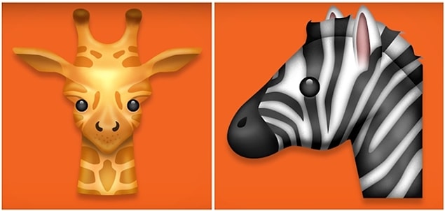 Giraffe and zebra.