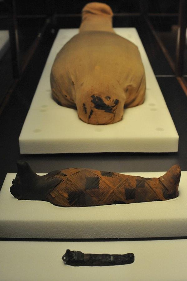 Antik Mısır mumyalarında kişilerin iç organlarının çıkarıldığı ve hayvan biçimli bir başka kapta saklandığı görülüyor.