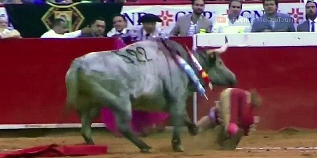 He ended up being sent flying across the bull ring when he was tossed by its horns.