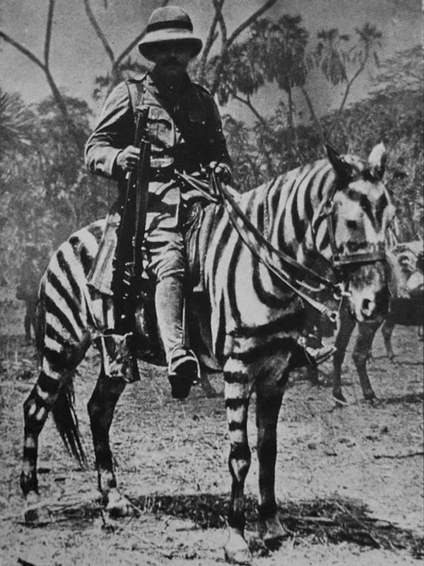 19. 1. Dünya Savaşı sırasında beyaz atını zebra kamuflajına sokmuş bir Alman askeri, Alman Doğu Afrikası, 1915.