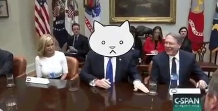 Trump'ın Aslında Koca Bir Kedi Olduğunun 16 Saniyede Kanıtı