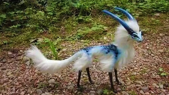 8 животных, в существование которых сложно поверить