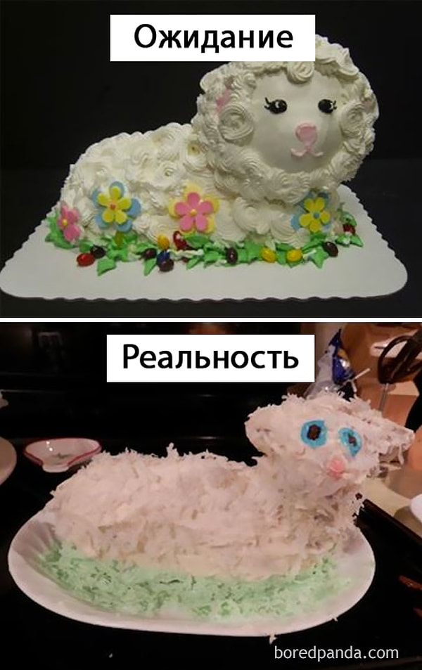 3. И потрепала же жизнь этого барашка.