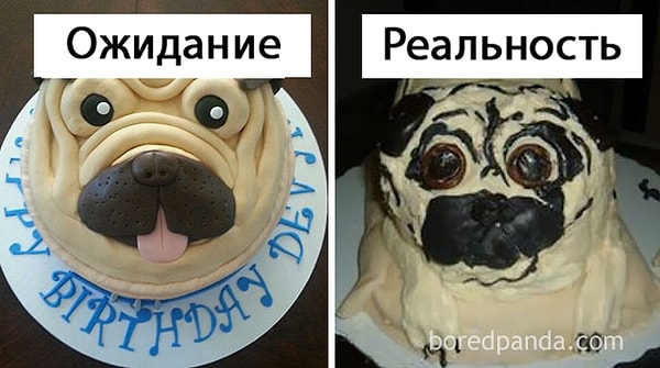 12. Изображение справа даже больше похоже на мопса.