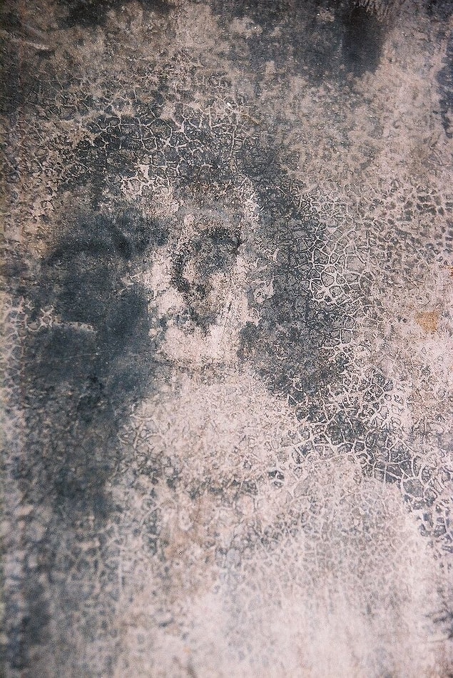 12. The Bélmez Faces