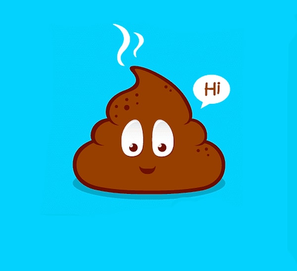 4. Вы могли бы съесть фекалии на красивой тарелке вилкой и ножом? 💩