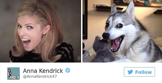 10 доказательств того, что Анна Кендрик - самая уморительная медийная персона