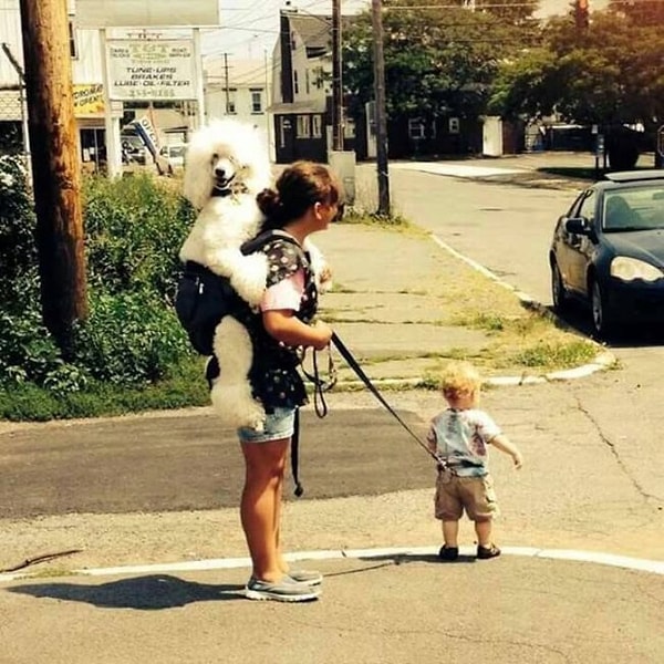 6. Когда мама запарилась и все перепутала