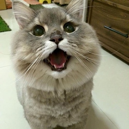 😍😚