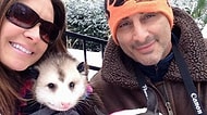 Onu Kurtaran Annesinin Yanından Hiç Ayrılmak İstemeyen Öksüz Opossum Opie ile Tanışın!