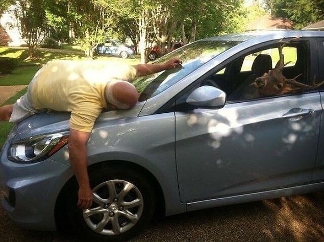 16. Dad humor!