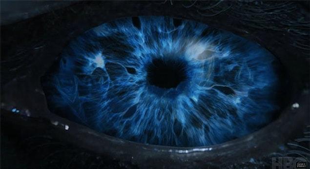2. At first glance, the eye looks something like this.