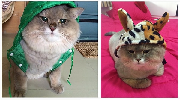 3. Настоящий модник