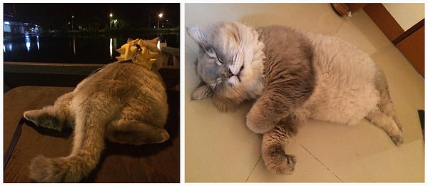 7. Понимает толк в комфорте