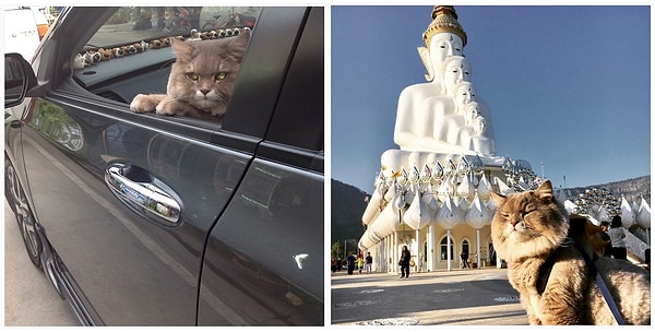 11. Любит путешествовать