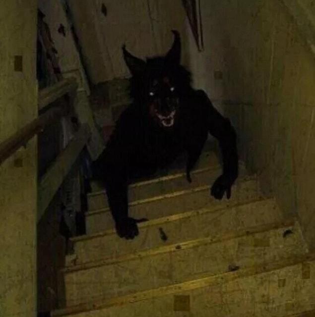 8. Or turning back as you run up the stairs and seeing this. 😖