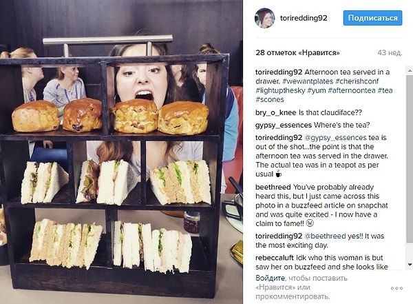 5. Зачем подавать сэндвичи на книжной полке? Вы что собираетесь их читать, а не есть?